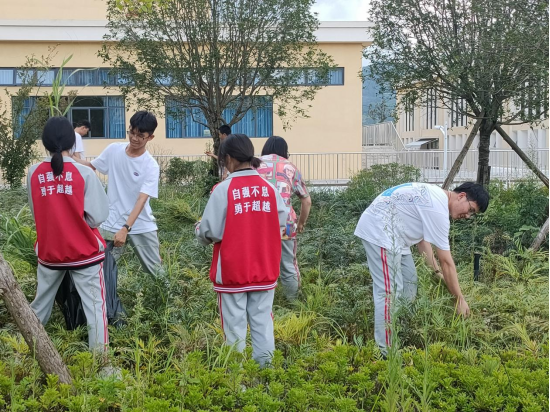 云南长水（衡水）实验中学文山校区丨从“劳动经历”到“经历劳动”，这里的劳动教育有趣又有益