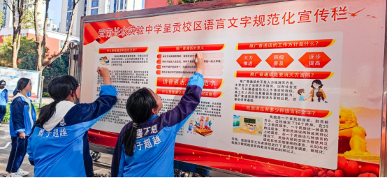 小小啄木鸟 纠错进行时