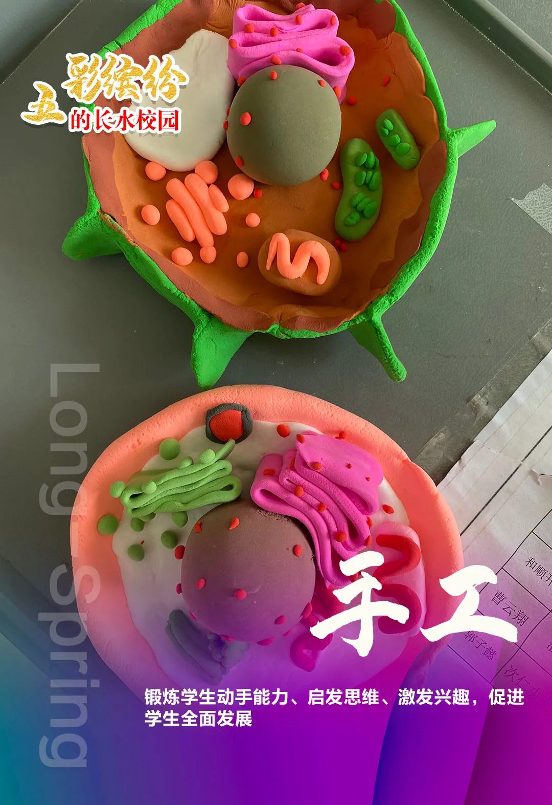 五彩缤纷的长水校园