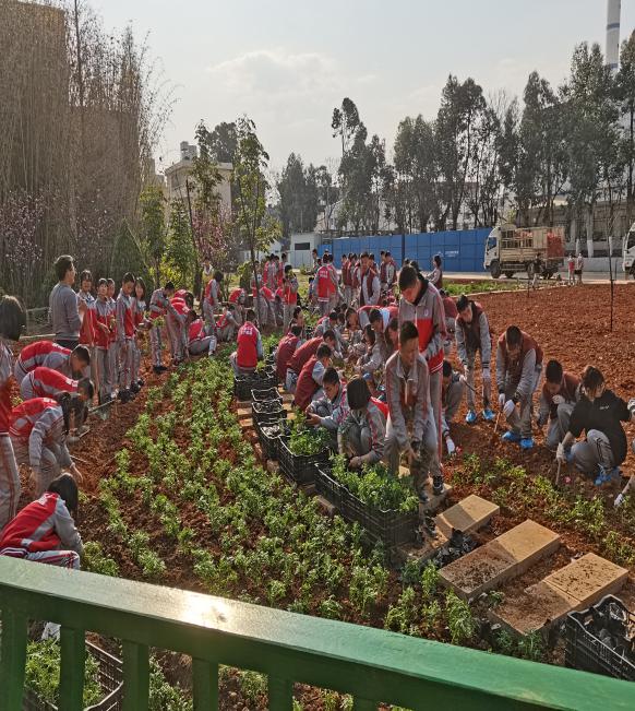 植树节丨建绿色校园 树绿色理想