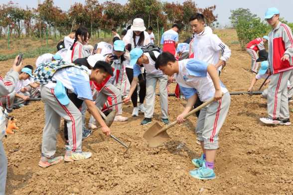 云南长水实验中学文山校区的劳动教育课这样上……