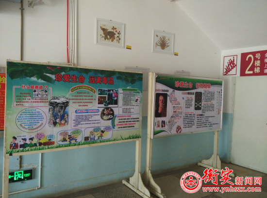 云南衡水实验中学开展禁烟、禁毒系列活动