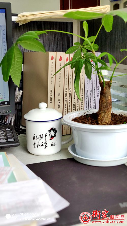 衡实呈贡|告2020届新生知书——衡实呈贡的发“材”树