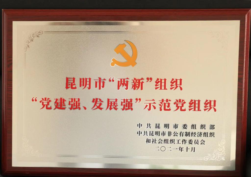 喜报——我校党支部荣获昆明市“两新”组织“党建强、发展强”示范党组织荣誉称号