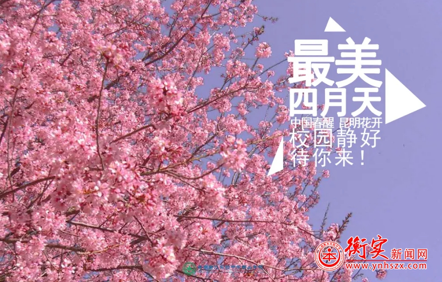 最美校园四月天