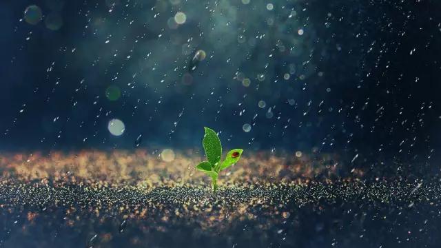 衡实之声 | 耿然：雨道青春