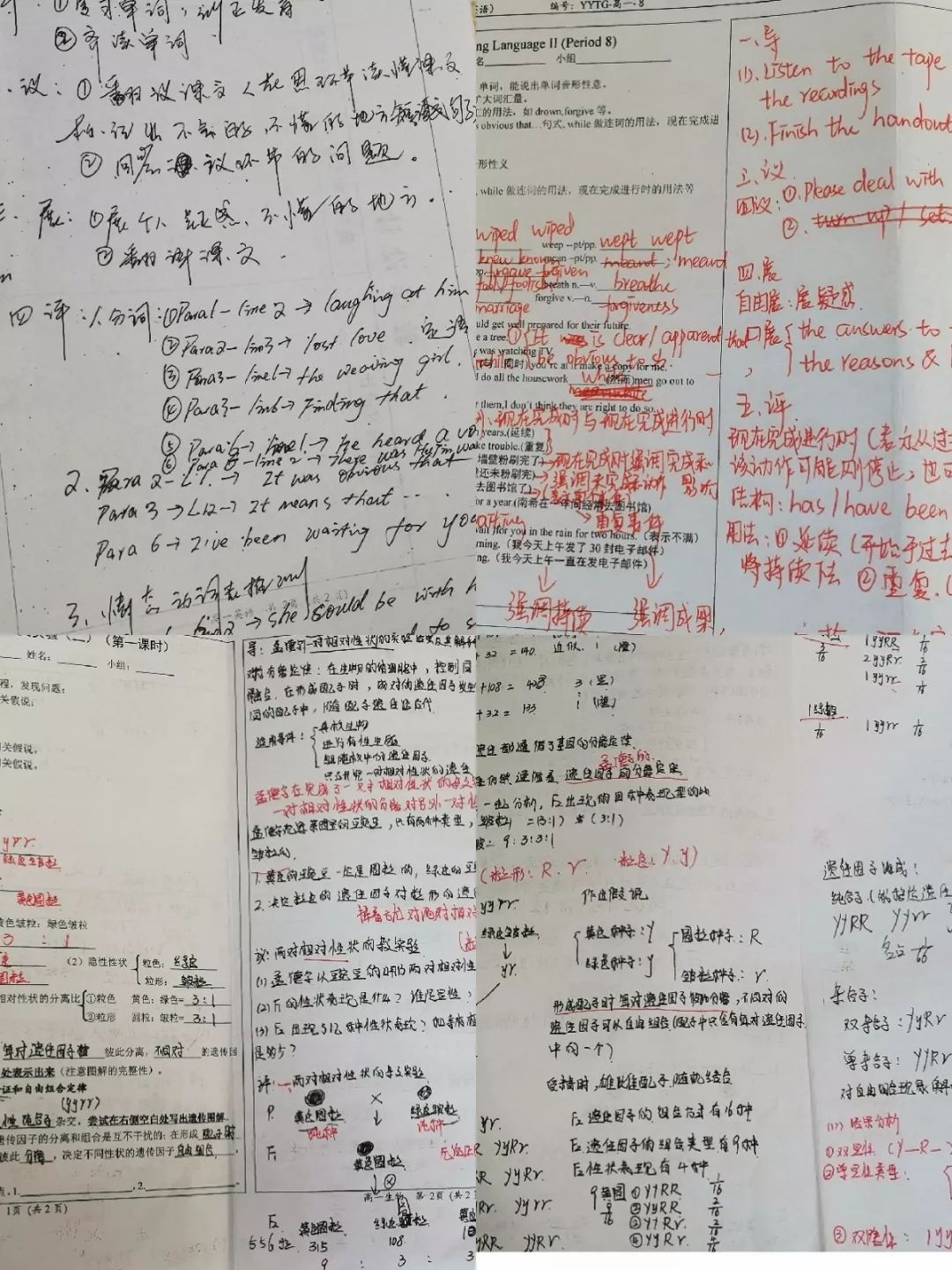 微信图片_20190226095146.jpg