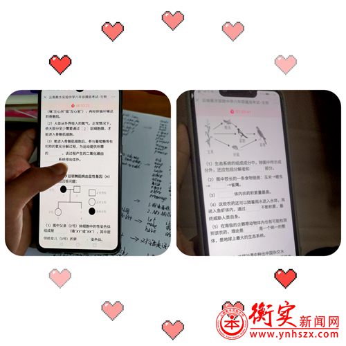 衡实呈贡|来看看“别人家的孩子”有多优秀