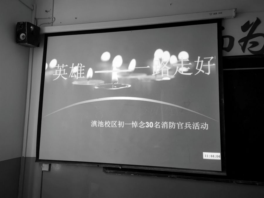 IMG_20190403_114256.jpg