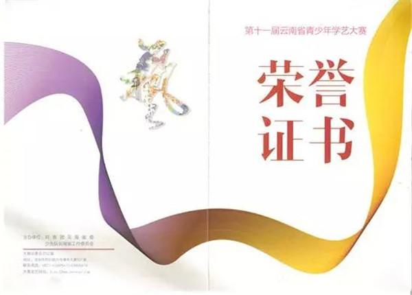 衡实喜报丨第十一届云南省青少年学艺大赛获奖名单