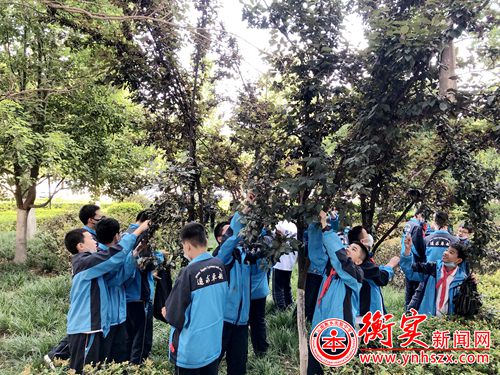 衡实呈贡|与“李”相约，校园采摘节