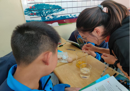 衡实呈贡|走进生物实验，探索生命奥秘——看衡实学子如何了解鸟类的生殖发育