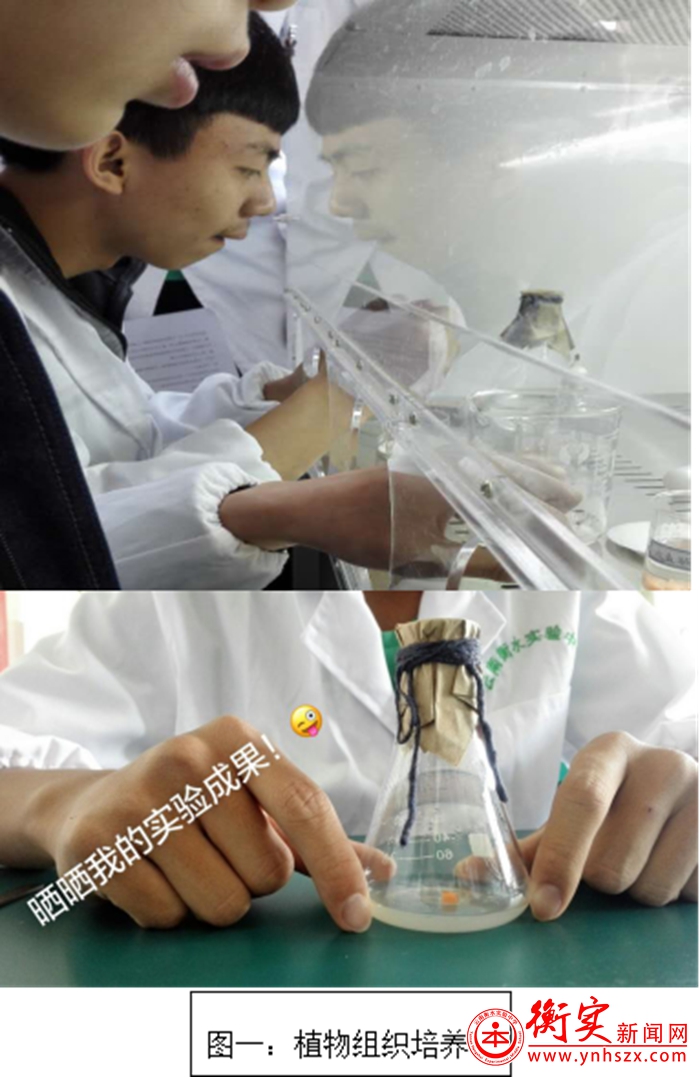 小小的发现，大大的梦想