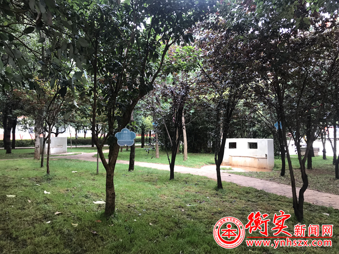 校园新树牌“请以我的名字呼唤我”