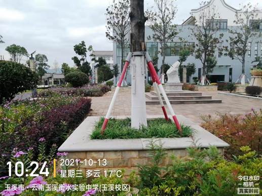 说明: 343c97894581547ca34a2e646de7d85