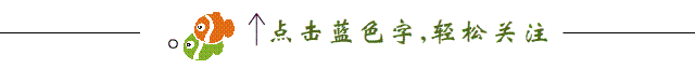 小鱼引导关注图