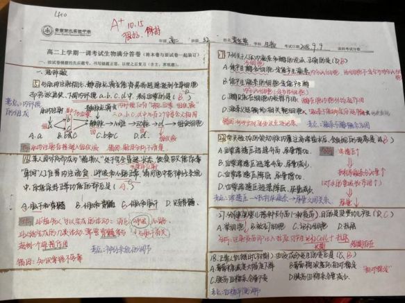 教师关爱在心头“满分答卷”竞风流