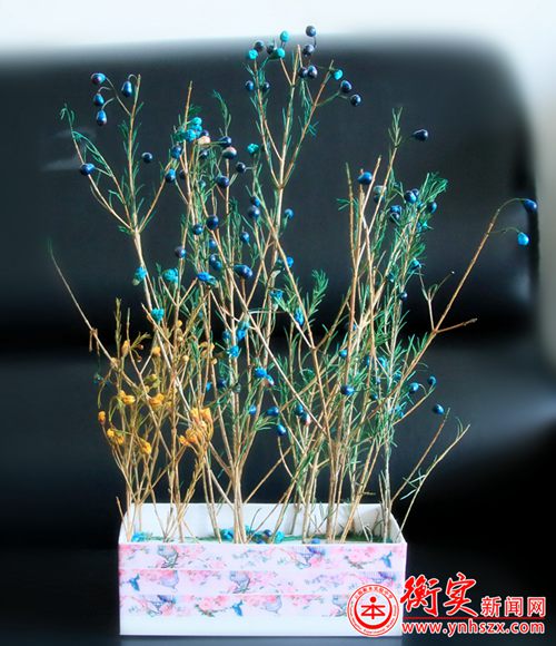 衡实呈贡|“小手工，大人生”，学生作品展示